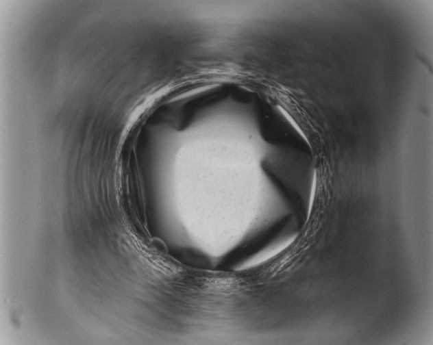 X0000100400342200806201741