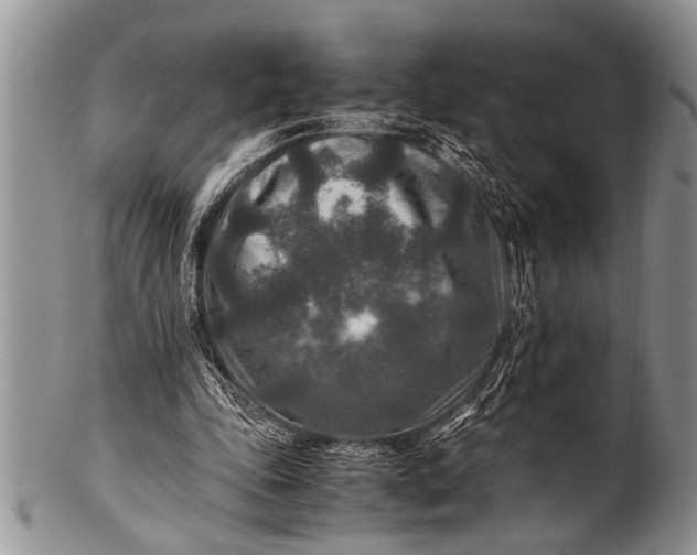X0000100400343200806201741