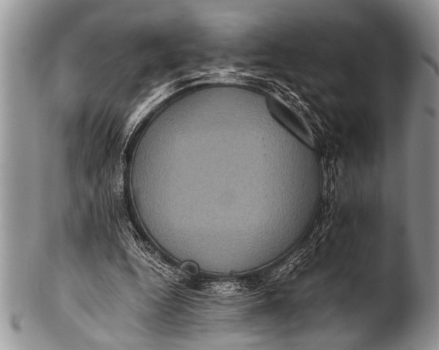 X0000100400344200806201741