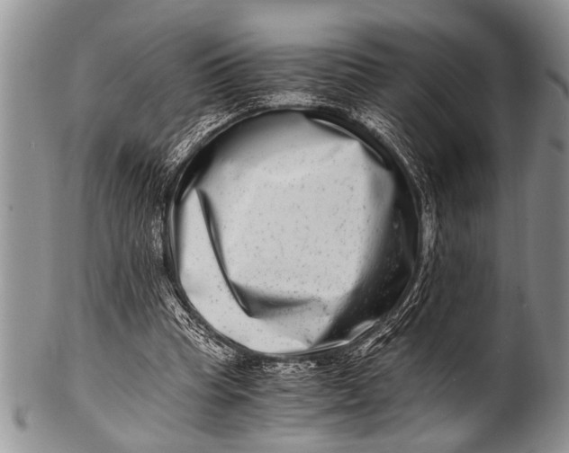 X0000100400345200806201741