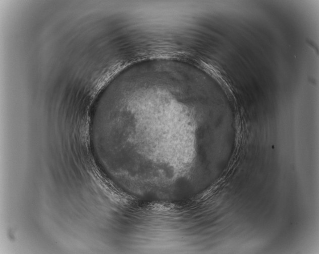 X0000100400346200806201741