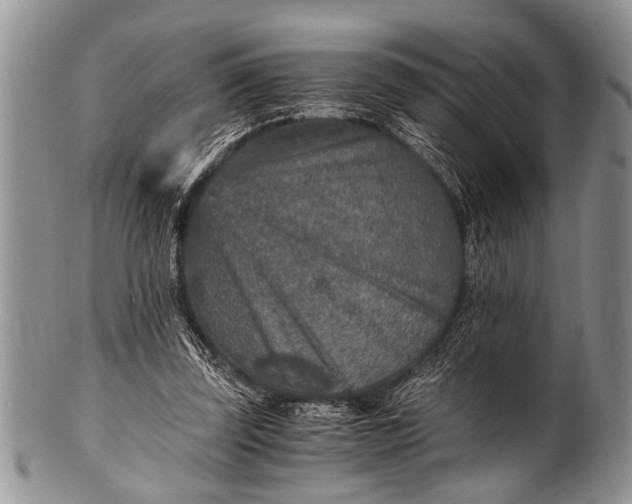 X0000100400347200806201741