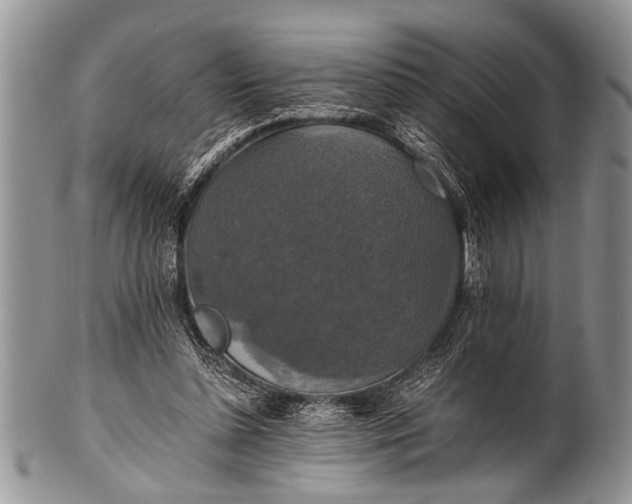 X0000100400348200806201741