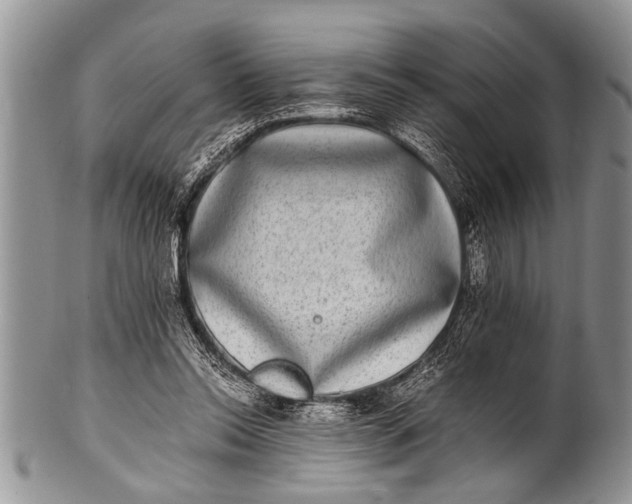 X0000100400350200806201741