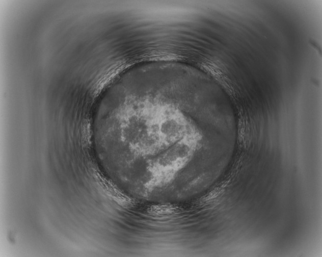 X0000100400351200806201741