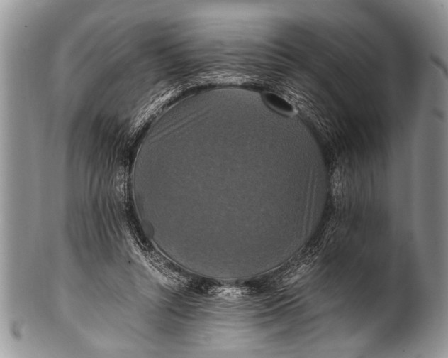 X0000100400352200806201741