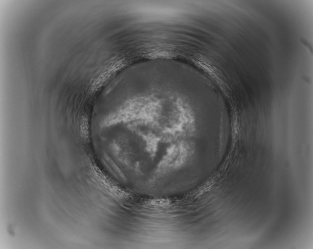X0000100400353200806201741