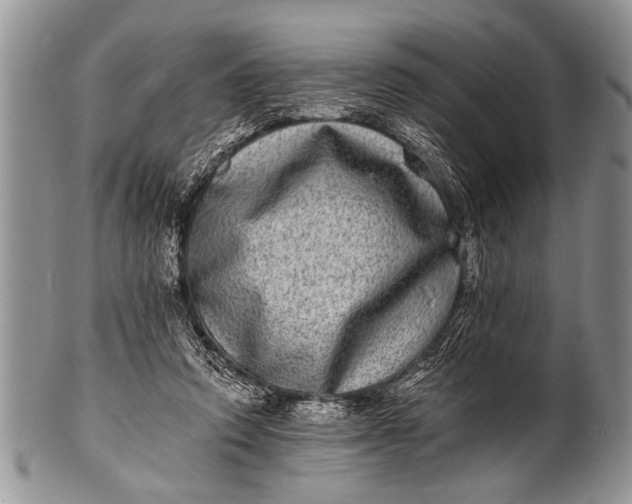 X0000100400354200806201741