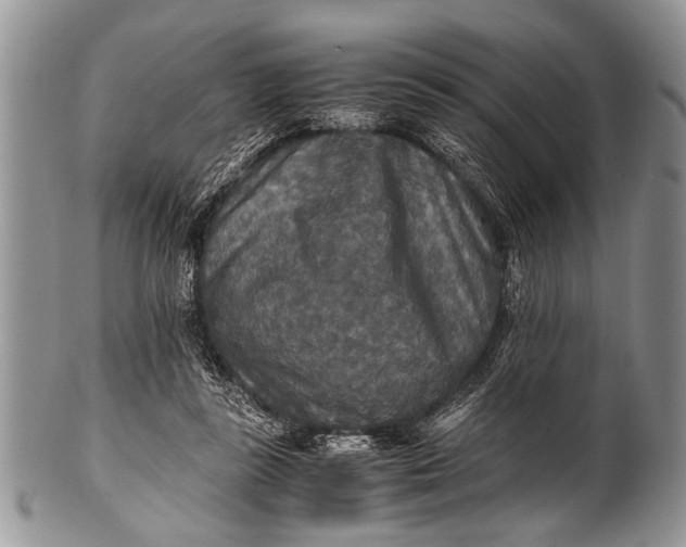 X0000100400355200806201741