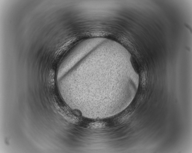 X0000100400356200806201741