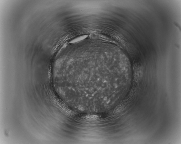X0000100400357200806201741