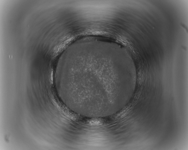 X0000100400358200806201741