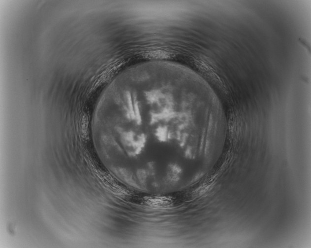 X0000100400359200806201741