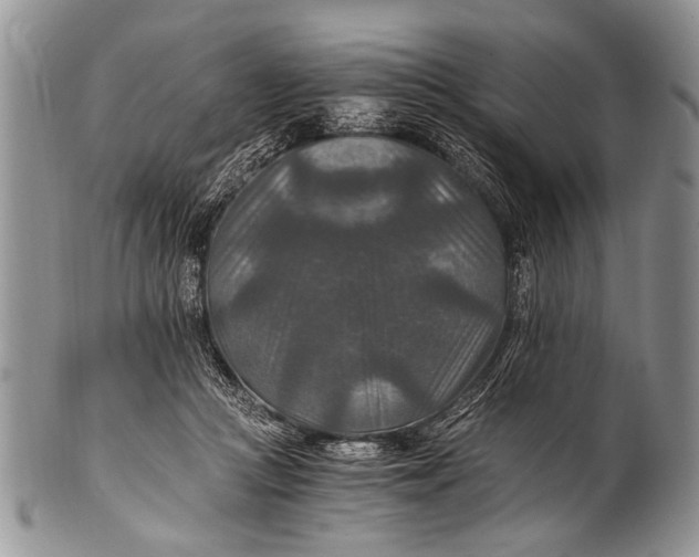 X0000100400361200806201741