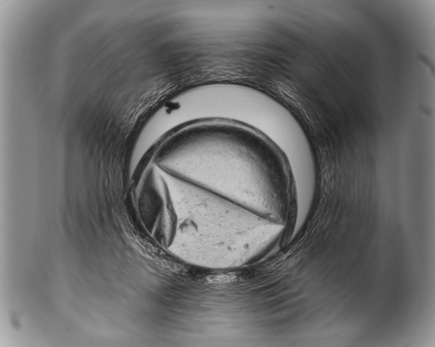 X0000100400362200806201741
