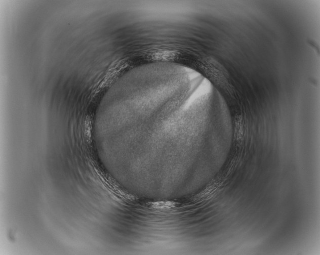 X0000100400363200806201741
