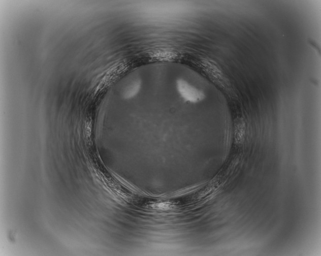 X0000100400365200806201741