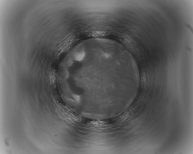 X0000100400367200806201741