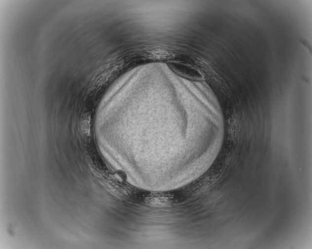X0000100400368200806201741