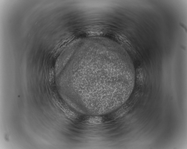X0000100400369200806201741