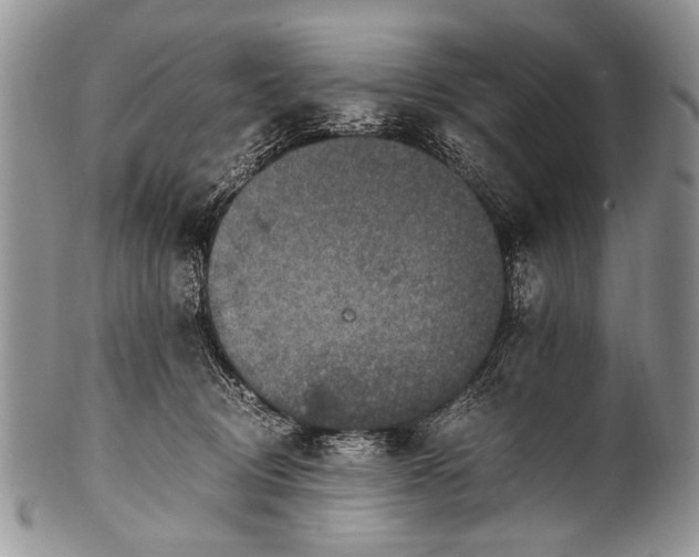 X0000100400370200806201741