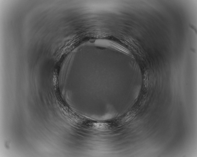X0000100400371200806201741