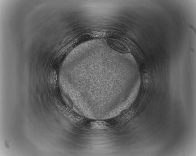 X0000100400372200806201741