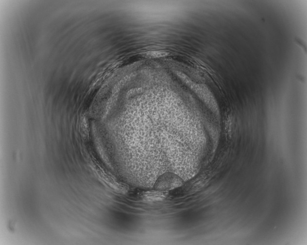 X0000100400373200806201741