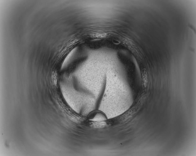 X0000100400374200806201741