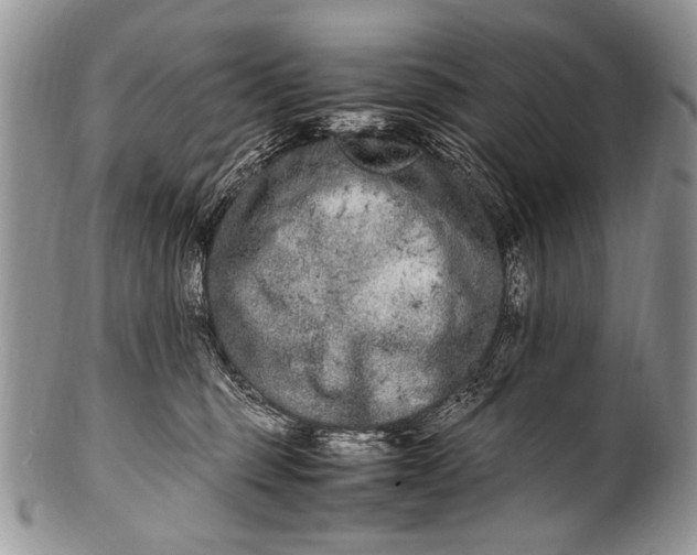 X0000100400375200806201741