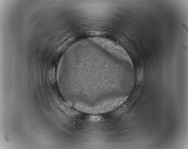 X0000100400376200806201741
