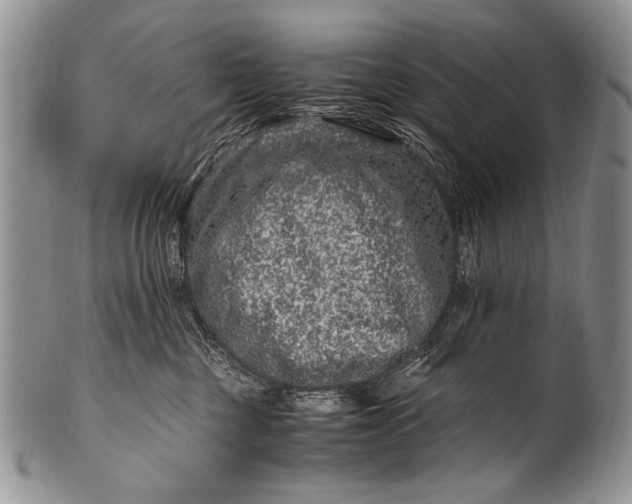 X0000100400377200806201741
