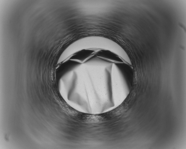 X0000100400379200806201741