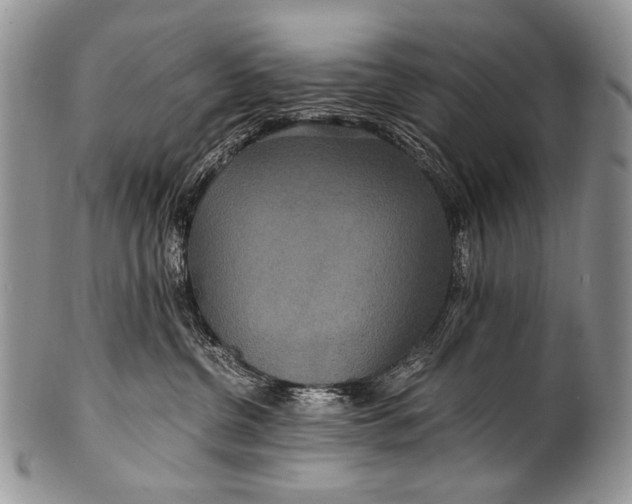 X0000100400380200806201741