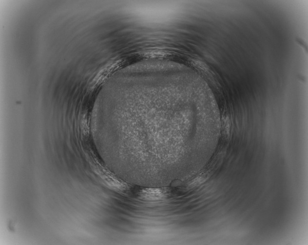 X0000100400381200806201741