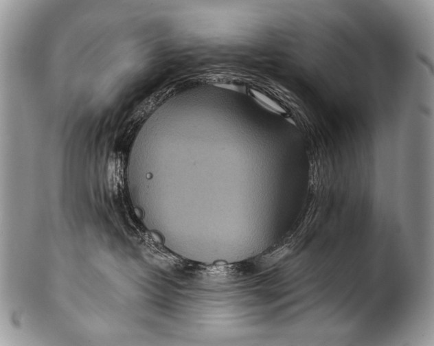 X0000100400382200806201741