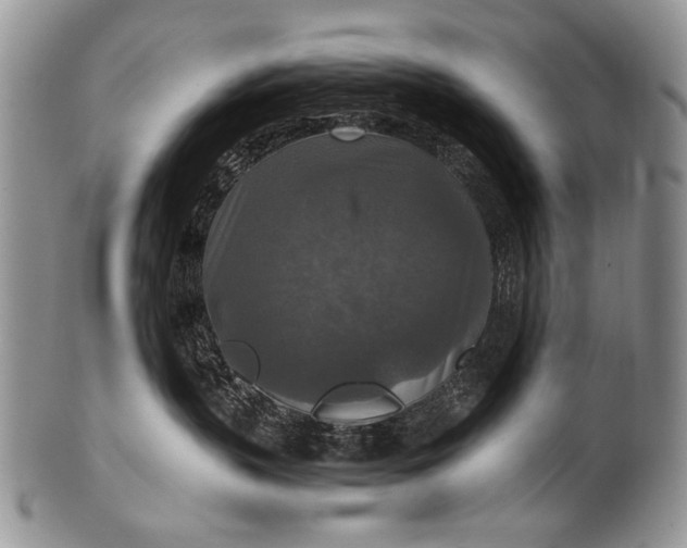 X0000100400383200806201741