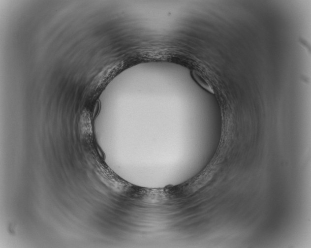 X0000100400384200806201741