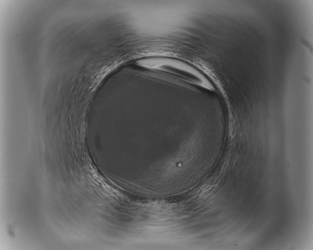 X0000100400385200806201741