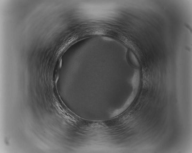 X0000100400386200806201741