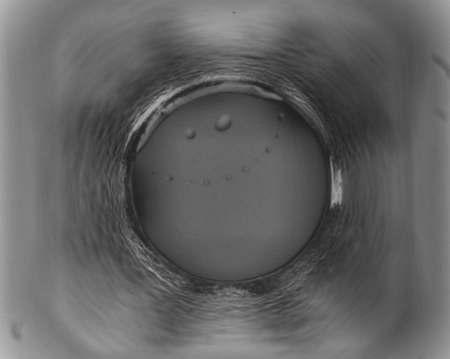 X0000100400387200806201741