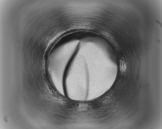 X0000100400388200806201741