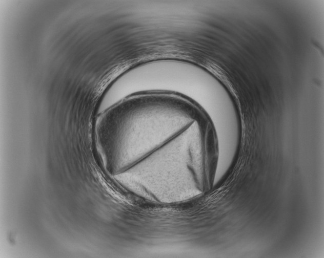 X0000100400389200806201741