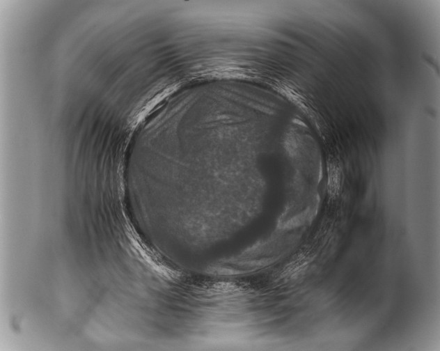 X0000100400390200806201741