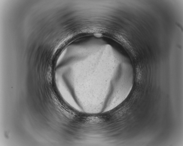 X0000100400392200806201741