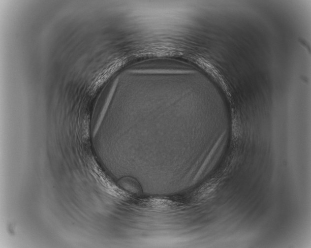 X0000100400393200806201741