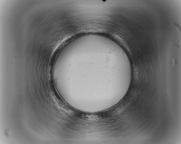 X0000100400395200806201741