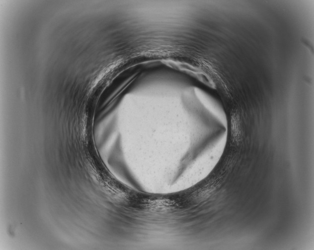 X0000100400396200806201741