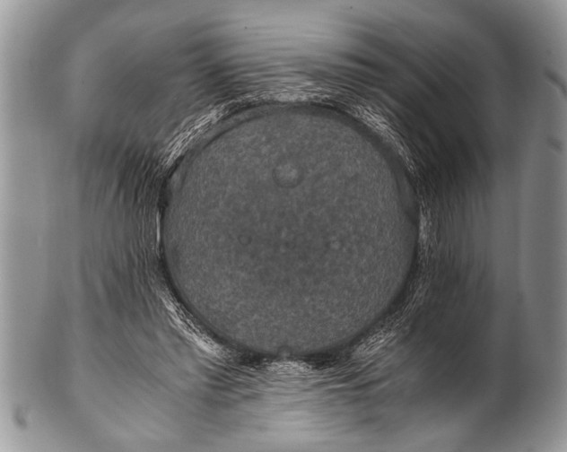 X0000100400397200806201741
