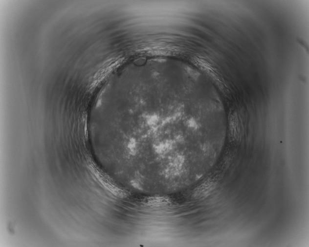 X0000100400398200806201741